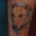 Tattoos - fawn Greyhound portrait  - 58223